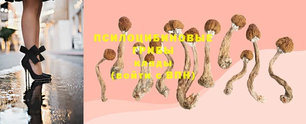 альфа пвп Ельня