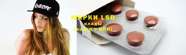индика Гусь-Хрустальный