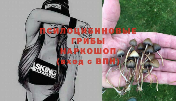 спайс Елабуга